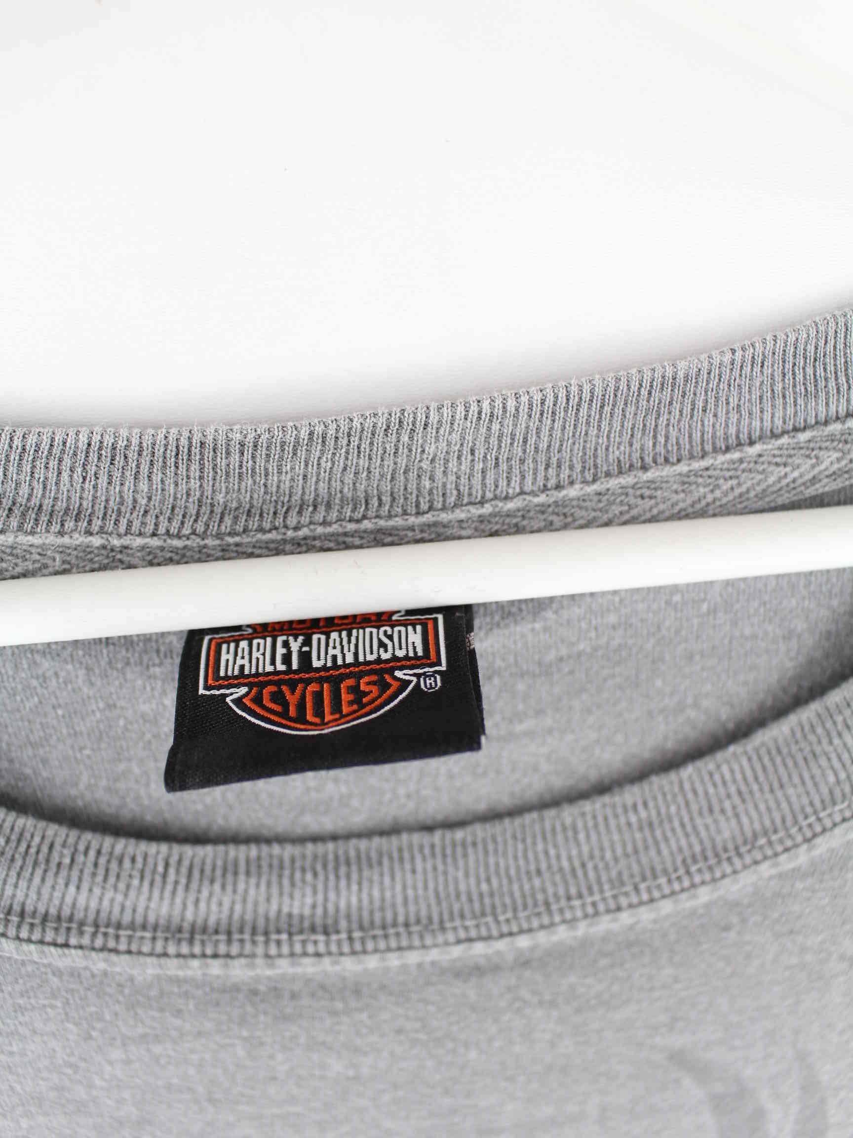 Harley Davidson 00s Lebanon Print T-Shirt Grau XL (detail image 3)