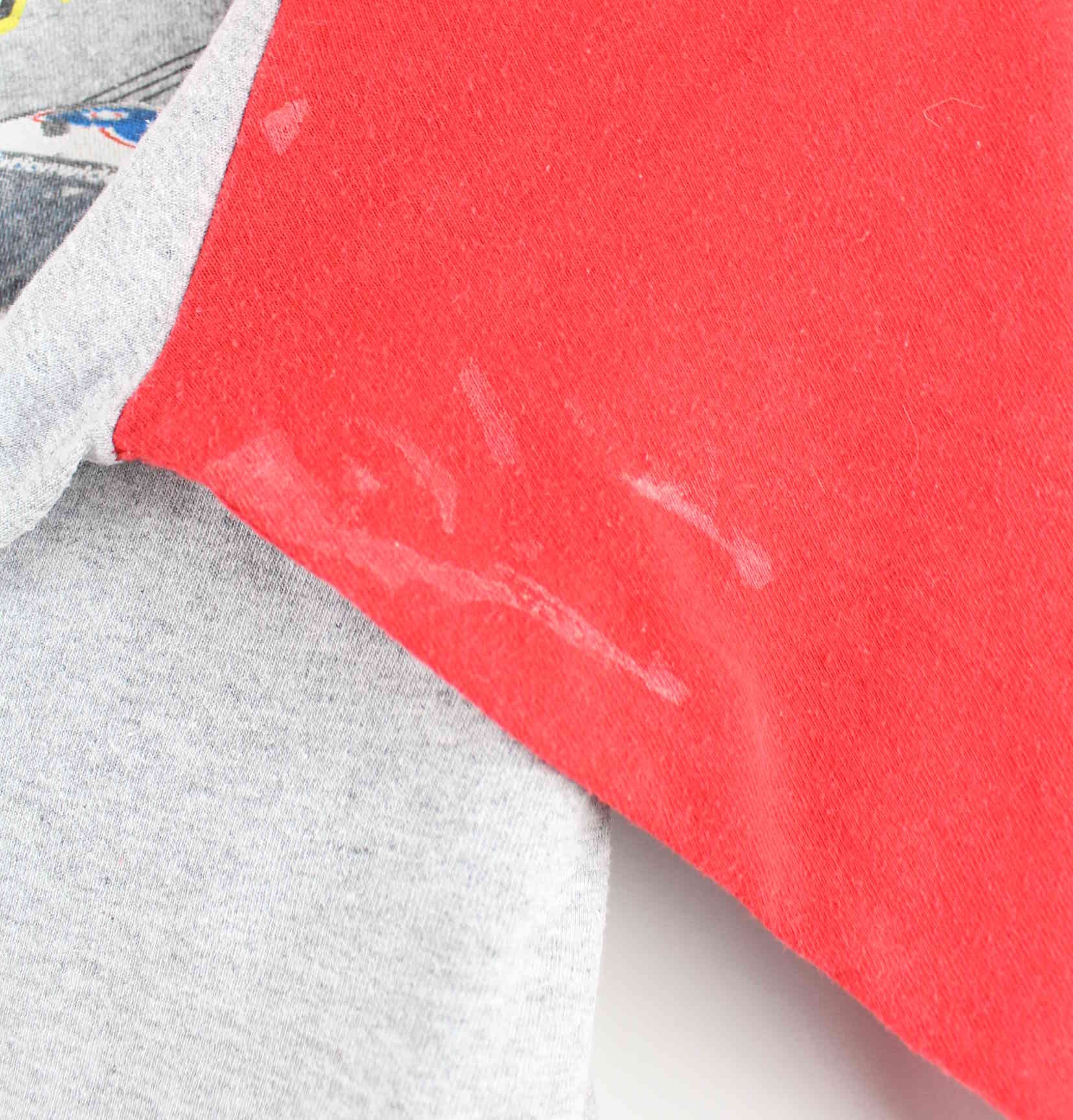 Delta Nascar y2k Macdonald Motosports Print Sweatshirt Grau XL (detail image 8)