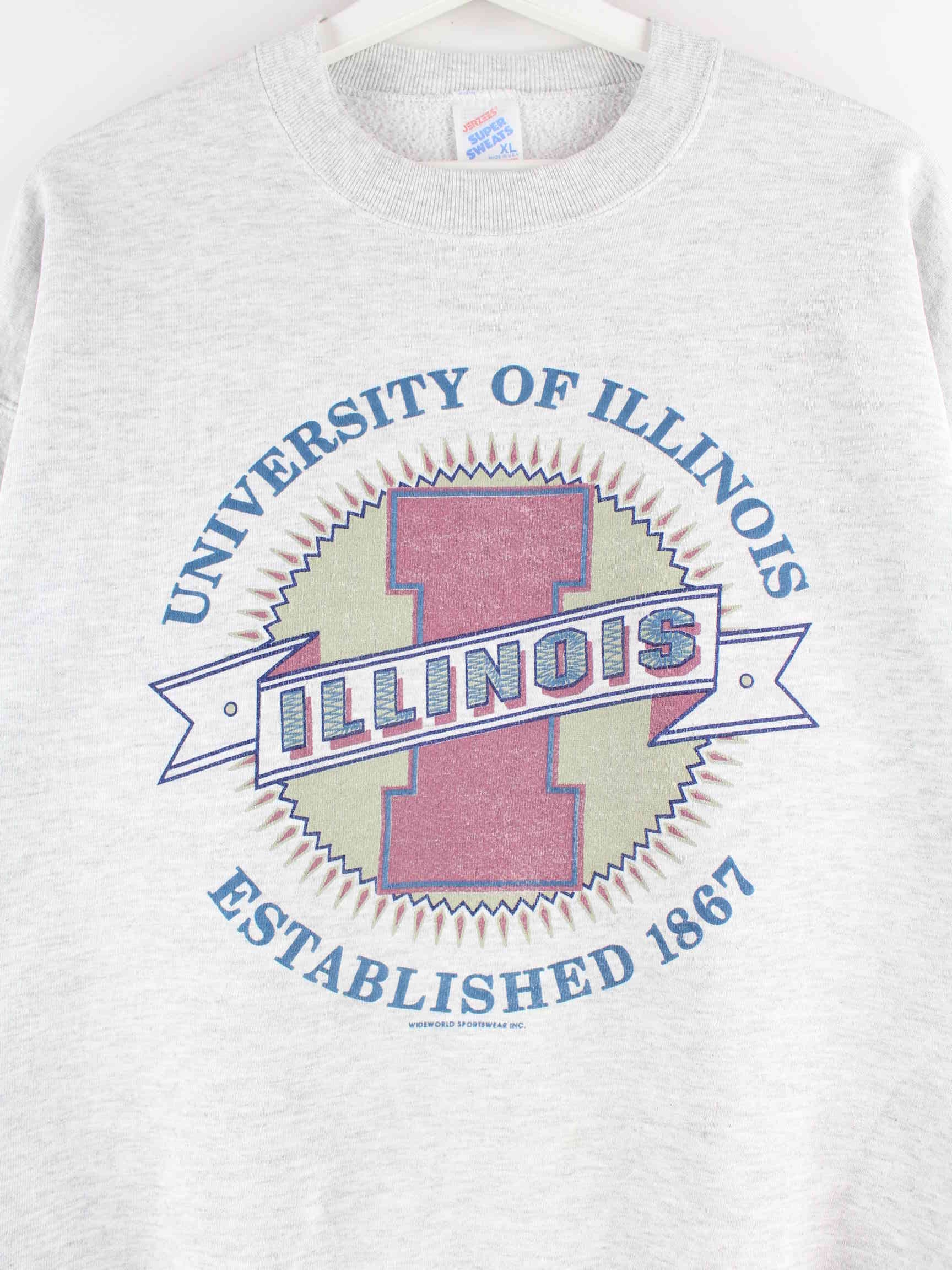 Jerzees y2k Illinois Print Sweater Grau XL (detail image 1)