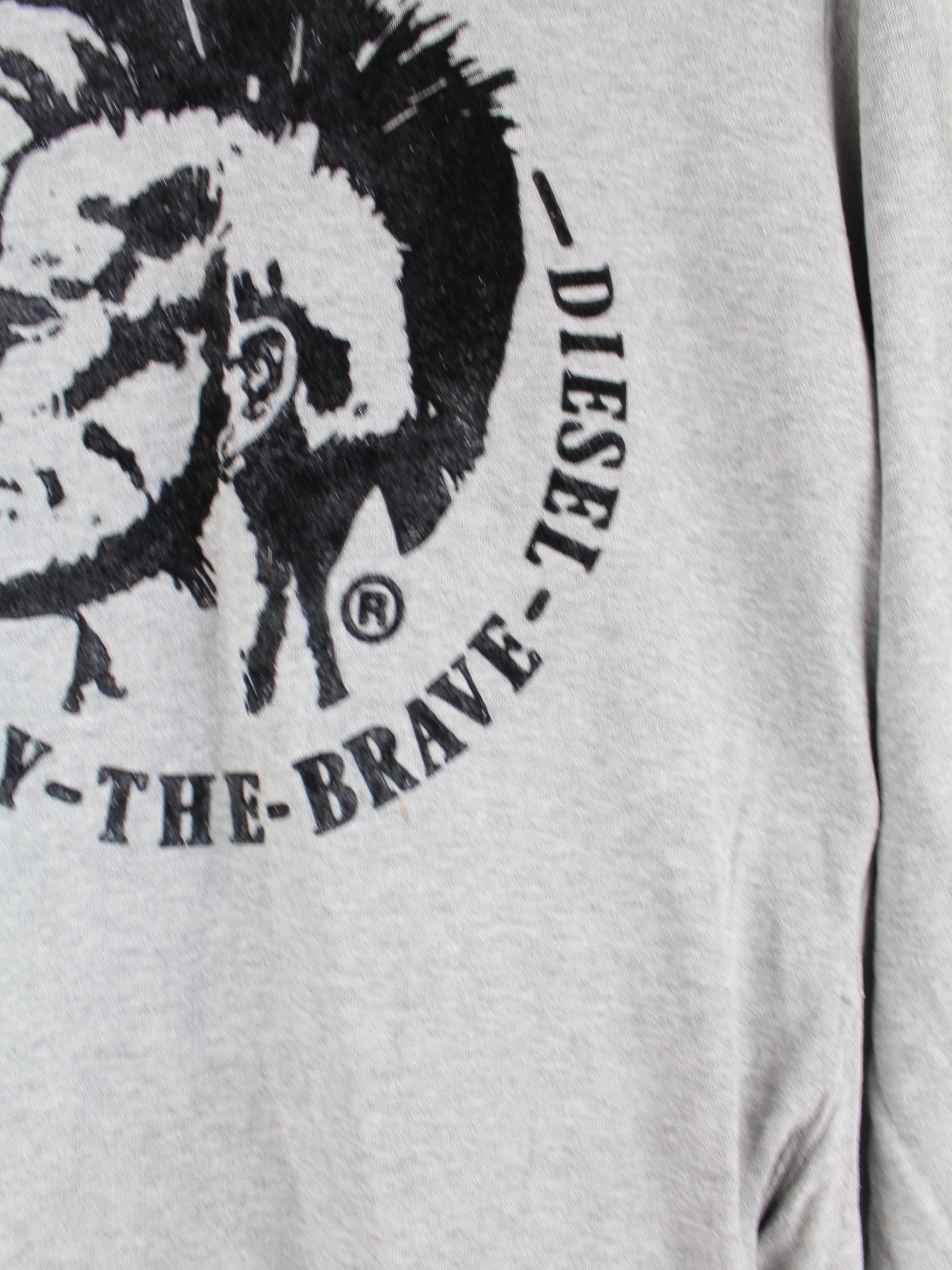 Diesel Only The Brave Logo Hoodie Gray S