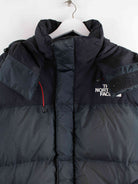 The North Face Summit Series 700 Puffer Jacke Grau L (detail image 1)