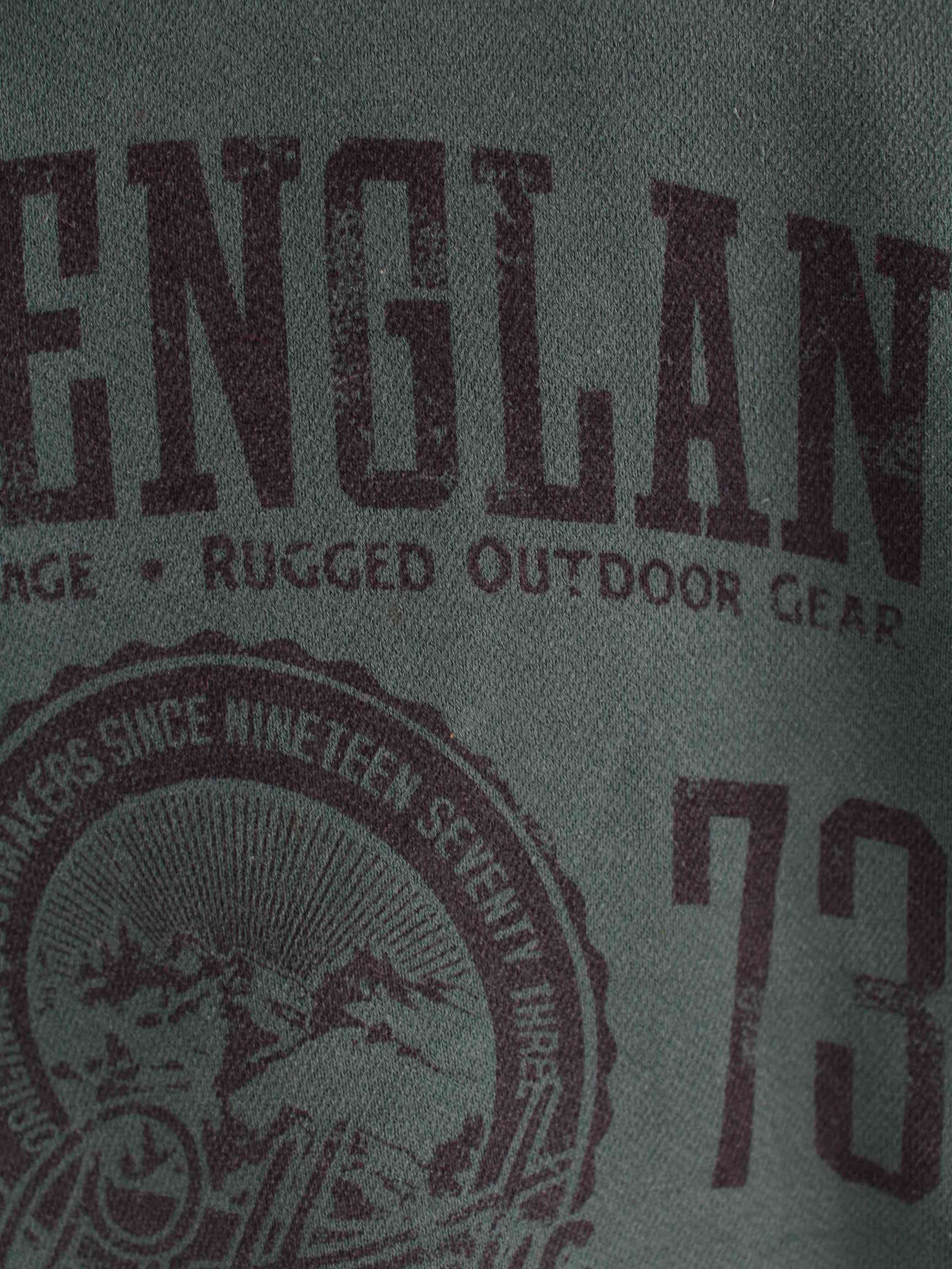 Timberland New England Print Hoodie Grün XL (detail image 2)